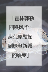 霍林郭勒四秩风华：从荒原勘探到绿电新城的蝶变