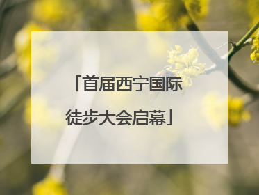 首届西宁国际徒步大会启幕