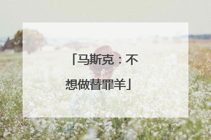 马斯克：不想做替罪羊