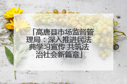 高唐县市场监督管理局：深入推进民法典学习宣传 共筑法治社会新篇章