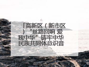 高新区（新市区）“丝路回响 爱我中华”铸牢中华民族共同体意识音乐会启幕