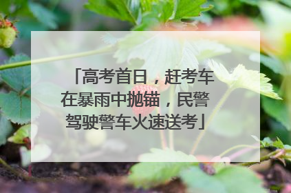 高考首日，赶考车在暴雨中抛锚，民警驾驶警车火速送考
