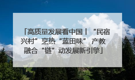 高质量发展看中国丨“民宿兴村”烹热“蓝田味” 产教融合“链”动发展新引擎