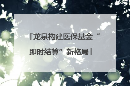 龙泉构建医保基金“即时结算”新格局