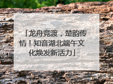 龙舟竞渡，楚韵传情！知音湖北端午文化焕发新活力