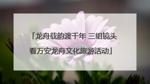 龙舟载韵渡千年 三组镜头看万安龙舟文化旅游活动