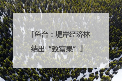 鱼台：堤岸经济林结出“致富果”