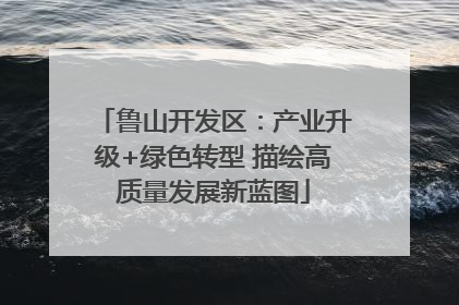 鲁山开发区：产业升级+绿色转型 描绘高质量发展新蓝图