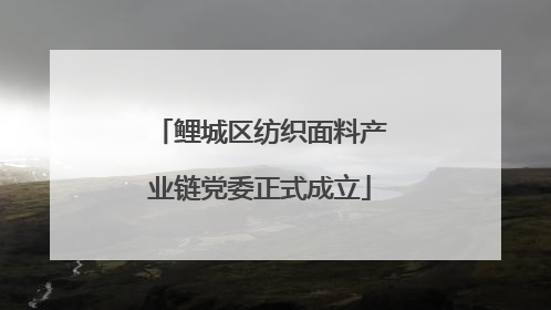 鲤城区纺织面料产业链党委正式成立