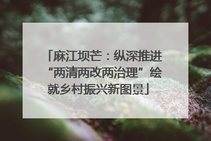 麻江坝芒：纵深推进“两清两改两治理”绘就乡村振兴新图景