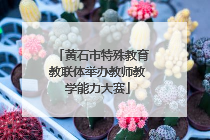 黄石市特殊教育教联体举办教师教学能力大赛