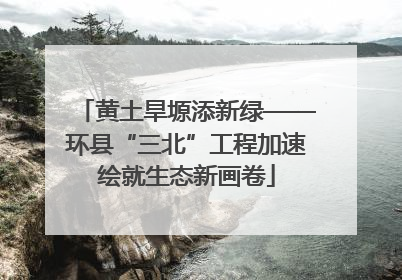 黄土旱塬添新绿——环县“三北”工程加速绘就生态新画卷
