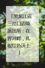 黑龙江省三岔口边境派出所：在界河畔，扎根红色沃土