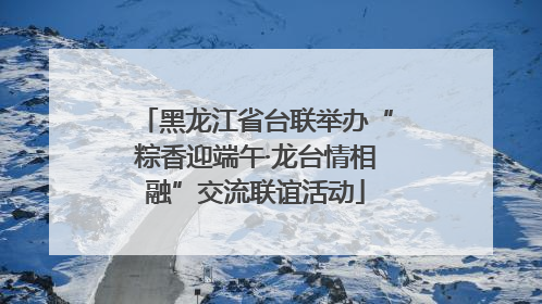 黑龙江省台联举办“粽香迎端午·龙台情相融”交流联谊活动