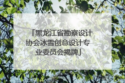 黑龙江省勘察设计协会冰雪创意设计专业委员会揭牌
