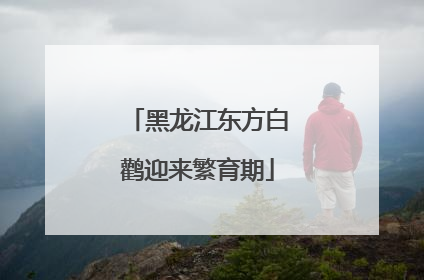 黑龙江东方白鹳迎来繁育期