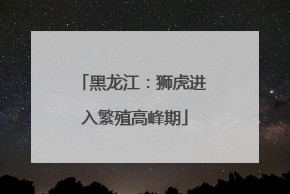黑龙江：狮虎进入繁殖高峰期