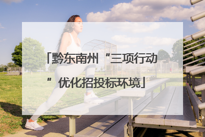 黔东南州“三项行动”优化招投标环境