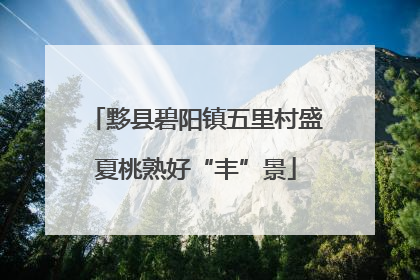 黟县碧阳镇五里村盛夏桃熟好“丰”景