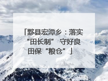 黟县宏潭乡：落实“田长制” 守好良田保“粮仓”