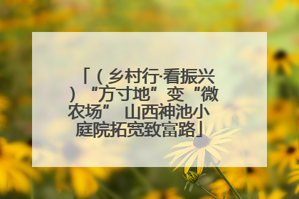 （乡村行·看振兴）“方寸地”变“微农场” 山西神池小庭院拓宽致富路