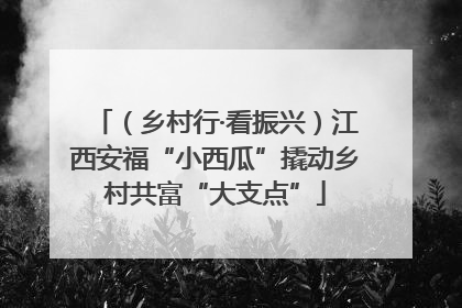 （乡村行·看振兴）江西安福“小西瓜”撬动乡村共富“大支点”