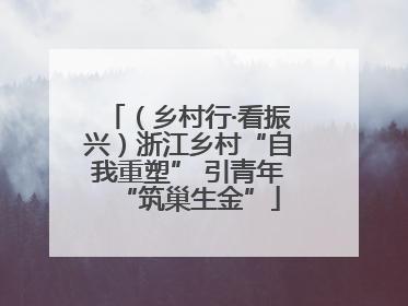（乡村行·看振兴）浙江乡村“自我重塑” 引青年“筑巢生金”