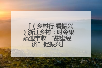 （乡村行·看振兴）浙江乡村：时令果蔬迎丰收 “甜蜜经济”促振兴