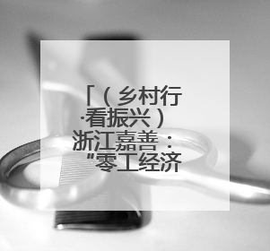 （乡村行·看振兴）浙江嘉善：“零工经济”助乡村民众“家门口”增收