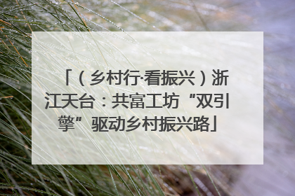 （乡村行·看振兴）浙江天台：共富工坊“双引擎”驱动乡村振兴路