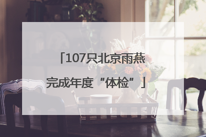 107只北京雨燕完成年度“体检”
