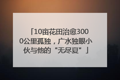10亩花田治愈3000公里孤独，广水独眼小伙与他的“无尽夏”