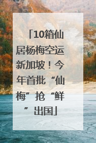 10箱仙居杨梅空运新加坡！今年首批“仙梅”抢“鲜”出国