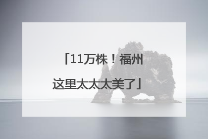 11万株！福州这里太太太美了