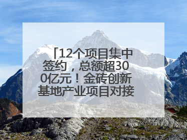 12个项目集中签约，总额超300亿元！金砖创新基地产业项目对接会举行