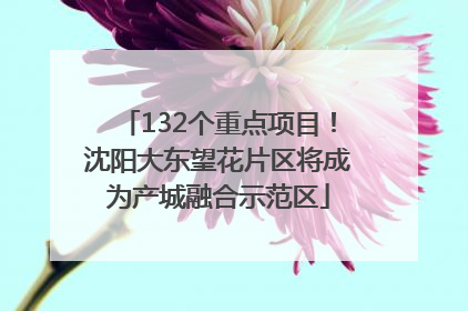 132个重点项目！沈阳大东望花片区将成为产城融合示范区