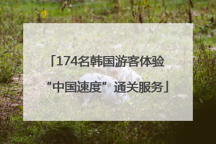174名韩国游客体验“中国速度”通关服务