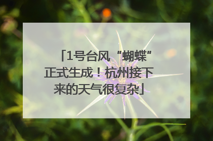 1号台风“蝴蝶”正式生成！杭州接下来的天气很复杂