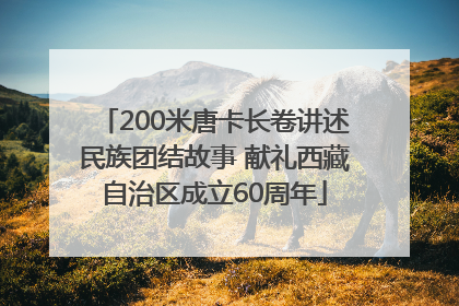 200米唐卡长卷讲述民族团结故事 献礼西藏自治区成立60周年