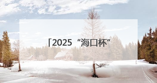 2025“海口杯”端午龙舟国际邀请赛启幕，国内外近40支龙舟队竞逐海甸溪