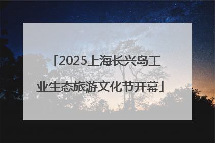 2025上海长兴岛工业生态旅游文化节开幕