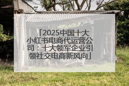 2025中国十大小红书电商代运营公司：十大领军企业引领社交电商新风向