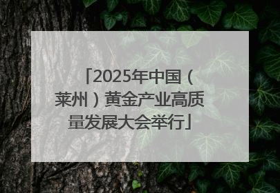 2025年中国（莱州）黄金产业高质量发展大会举行