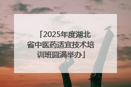 2025年度湖北省中医药适宜技术培训班圆满举办