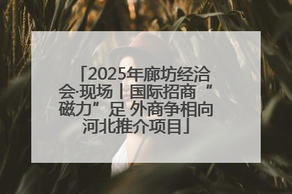 2025年廊坊经洽会·现场丨国际招商“磁力”足 外商争相向河北推介项目