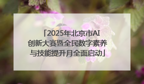 2025年北京市AI创新大赛暨全民数字素养与技能提升月全面启动