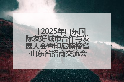 2025年山东国际友好城市合作与发展大会暨印尼楠榜省·山东省招商交流会在济南槐荫举行