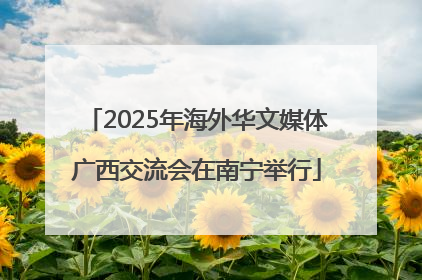 2025年海外华文媒体广西交流会在南宁举行