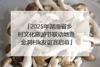 2025年湖南省乡村文化旅游节联动地暨金洞村k友谊赛启幕