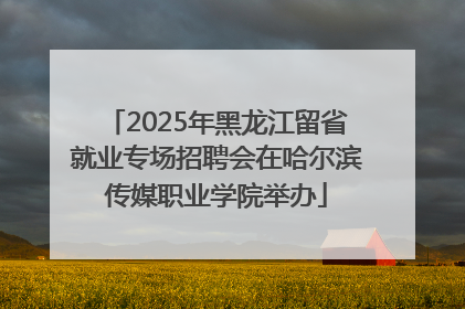 2025年黑龙江留省就业专场招聘会在哈尔滨传媒职业学院举办